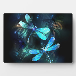 Lake Glowing Dragonflies Plaque