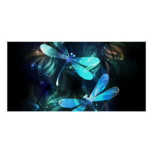 Lake Glowing Dragonflies Poster