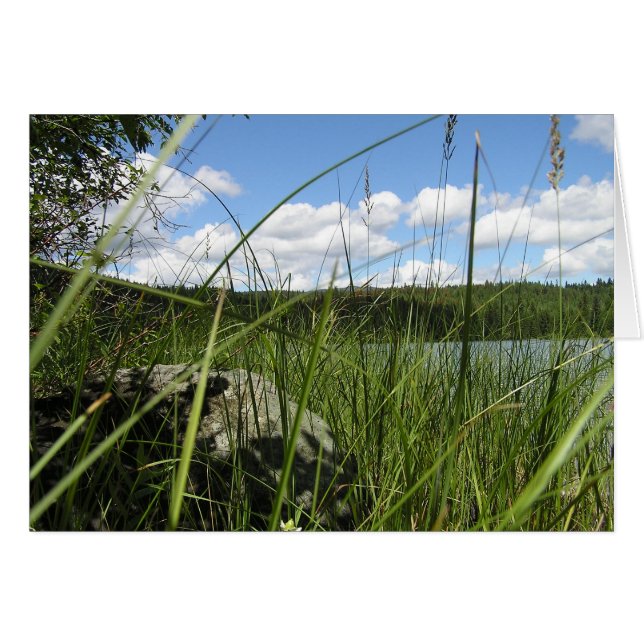 Lake grass (Front Horizontal)