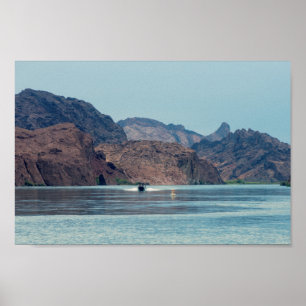 Lake Havasu Poster