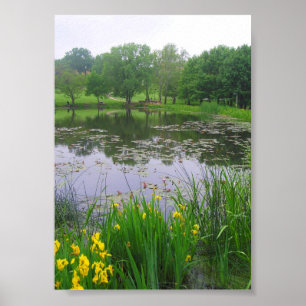 Lake in Lawrence, Kansas Poster
