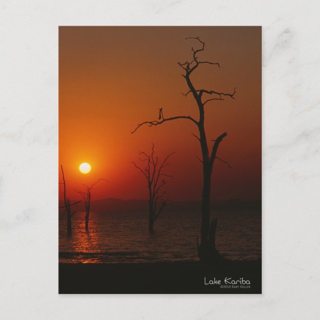 Lake Kariba Sunset Postcard (Front)