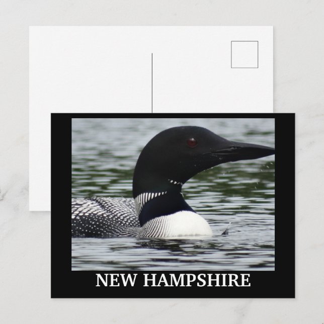 Lake Loon close up photo  Postcard (Front/Back)