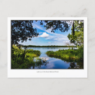 Lake Lou Postcard