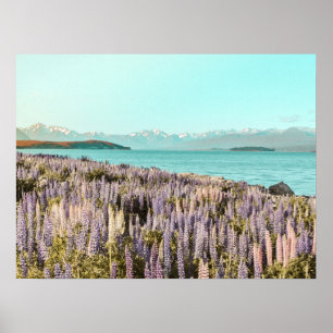 Lake Lupins   Art Print
