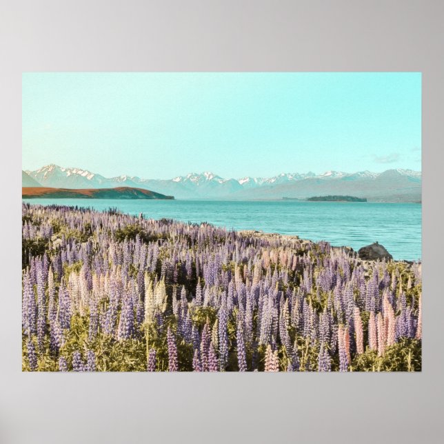 Lake Lupins | Art Print (Front)