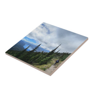 Lake McDonald frm Mt Brown - Glacier National Park Tile