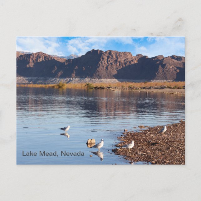  Lake Mead, Boulder Beach, Nevada Postcard (Front)