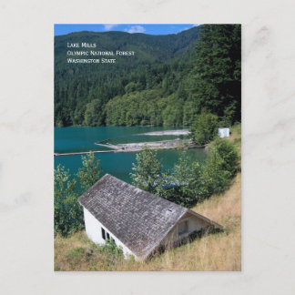 Lake Mills, Olympic Natl Forest Postcard