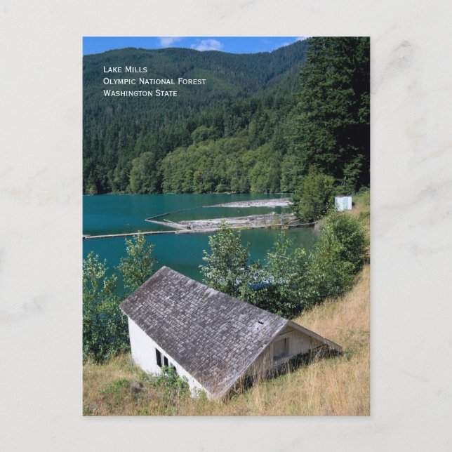 Lake Mills, Olympic Natl Forest Postcard (Front)