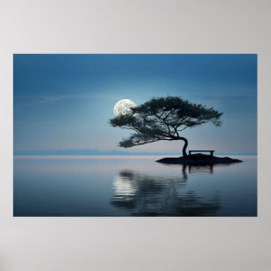 Lake Mist Moon Light Tranquil Peaceful Poster