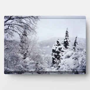 Lake Nojiri Photo Plaque