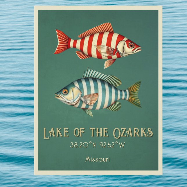 Lake of the Ozarks Missouri fish Postcard (Creator Uploaded)