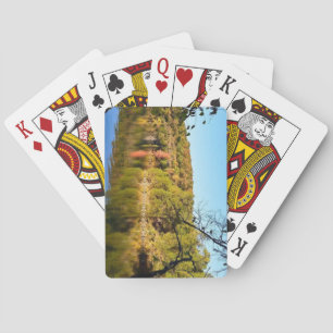 Lake of the Ozarks State Park, Missouri Playing Cards