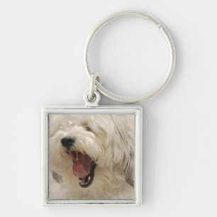 Lake of the Woods, Ontario, Canada Key Ring