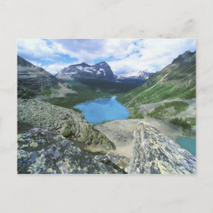 Lake O'Hara, Yoho NP, BC, Canada Postcard