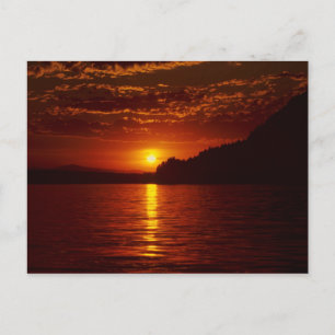 Lake PendOreille Silhouette Sunset, Bayview, Idaho Postcard