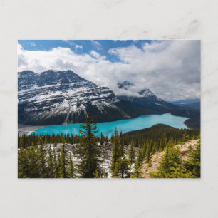 Lake Peyto in the Rocky Mountains Postcard