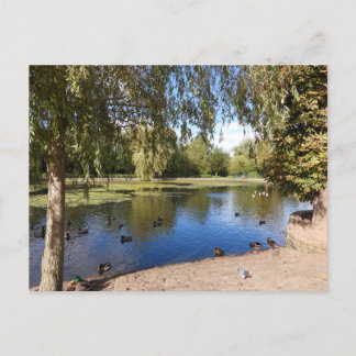 Lake Postcard