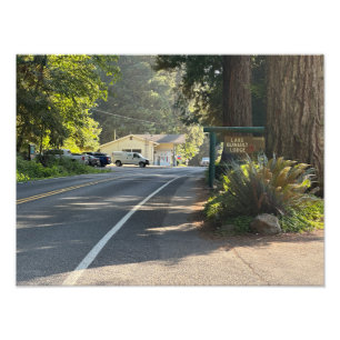 Lake Quinault Lodge, Olympic National Park Photo Print