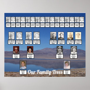 Lake Reflecting Mountains Photo Two Family Trees   Poster