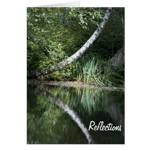 Lake Reflection (Front)