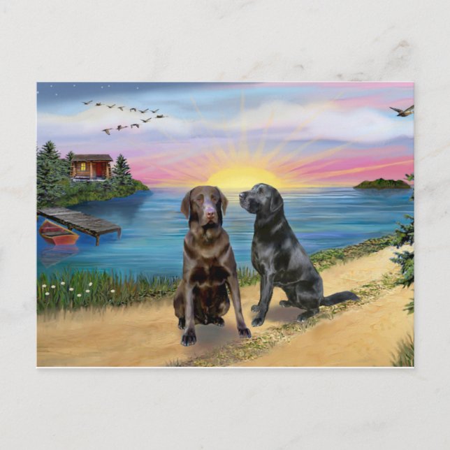 Lake Road - Two Labrador Retrievers (Choc-Blk) Postcard (Front)