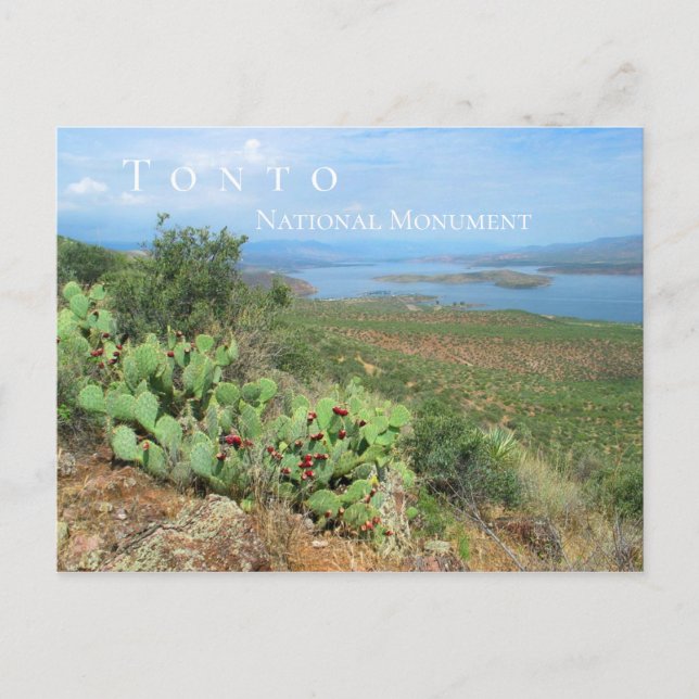 Lake Roosevelt, Tonto National Monument, AZ Postcard (Front)