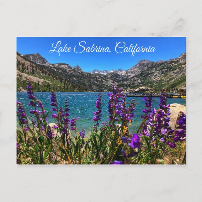Lake Sabrina California Postcard (Front)