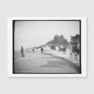 Lake Shore Drive, Chicago, Illinois Vintage