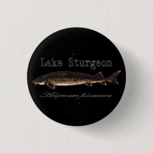 Lake Sturgeon 3 Cm Round Badge