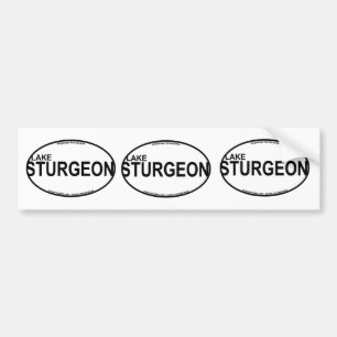 Lake Sturgeon Euro Stickers