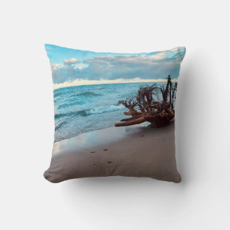 Lake Superior Driftwood roots #2 Cushion