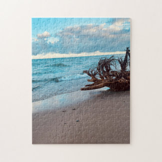 Lake Superior Driftwood roots #2 Jigsaw Puzzle
