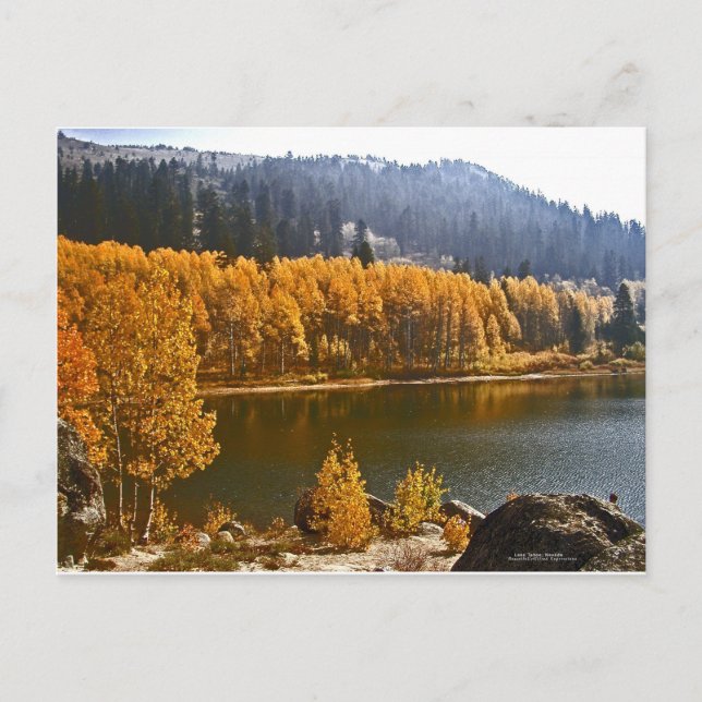 Lake Tahoe in the Fall / Winter Landscape Postcard (Front)