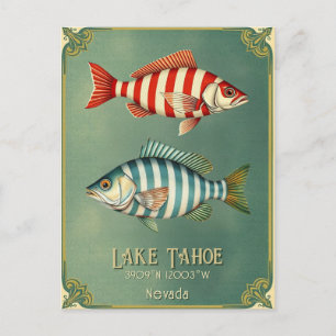 Lake Tahoe Nevada California fish Postcard 