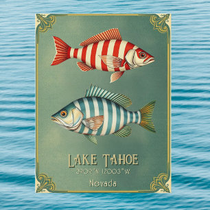 Lake Tahoe Nevada California fish Postcard