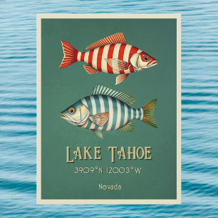 Lake Tahoe Nevada fish Postcard