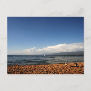 Lake Tahoe Postcard