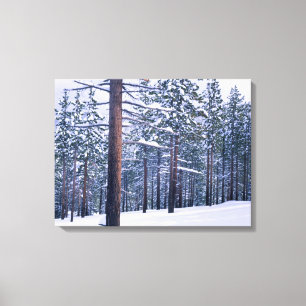 LAKE TAHOE STATE PARK, NEVADA. USA. Fresh snow Canvas Print