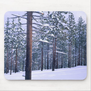 LAKE TAHOE STATE PARK, NEVADA. USA. Fresh snow Mouse Mat