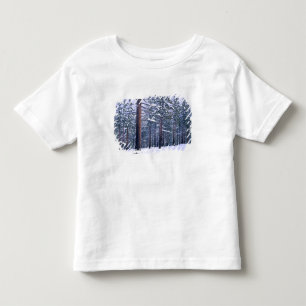 LAKE TAHOE STATE PARK, NEVADA. USA. Fresh snow Toddler T-Shirt