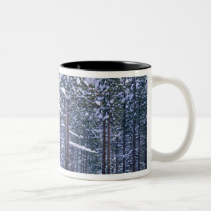 LAKE TAHOE STATE PARK, NEVADA. USA. Fresh snow Two-Tone Coffee Mug