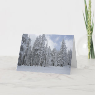 Lake Tahoe Winter Holiday Card