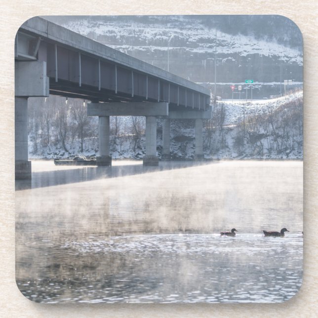 Lake Taneycomo Foggy Winter Fishing Coaster (Front)