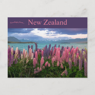 Lake Tekapo New Zealand Postcard