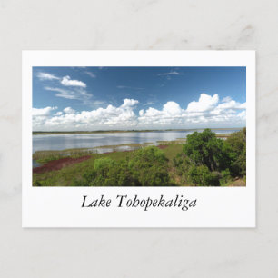 Lake Tohopekaliga Florida Postcard