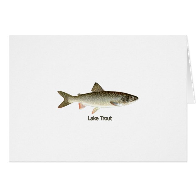 Lake Trout Artwork (Front Horizontal)