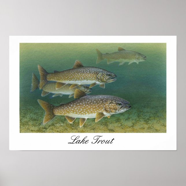 Lake Trout Painting Poster (Front)