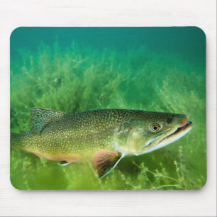 Lake Trout Portrait, Emerald Lake, Montana Mouse Mat